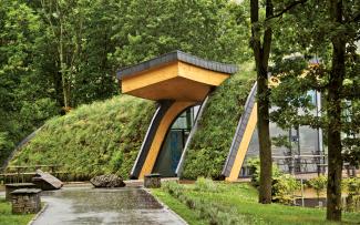 Pitched green roof